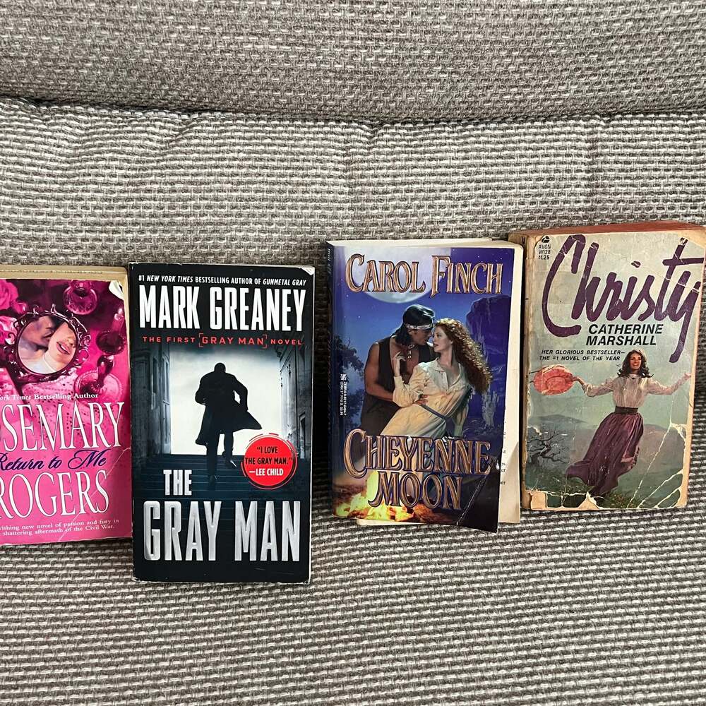 Lot of 4 Fiction Books: The Gray Man, Rosemary Rogers, Cheyenne Moon, and Christ